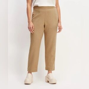 NWT Everlane Medium Wool Flannel Pull-On Pant